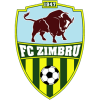 Moldova Cup