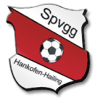 SpVgg Hankofen-Hailing