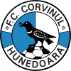 CS Corvinul Hunedoara