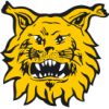Ilves Kissat