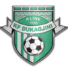 KF Dukagjini