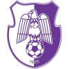 SCM Argesul Pitesti