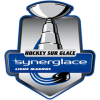 FRANCE: Ligue Magnus