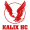 Каликс