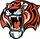 Амурские Тигры